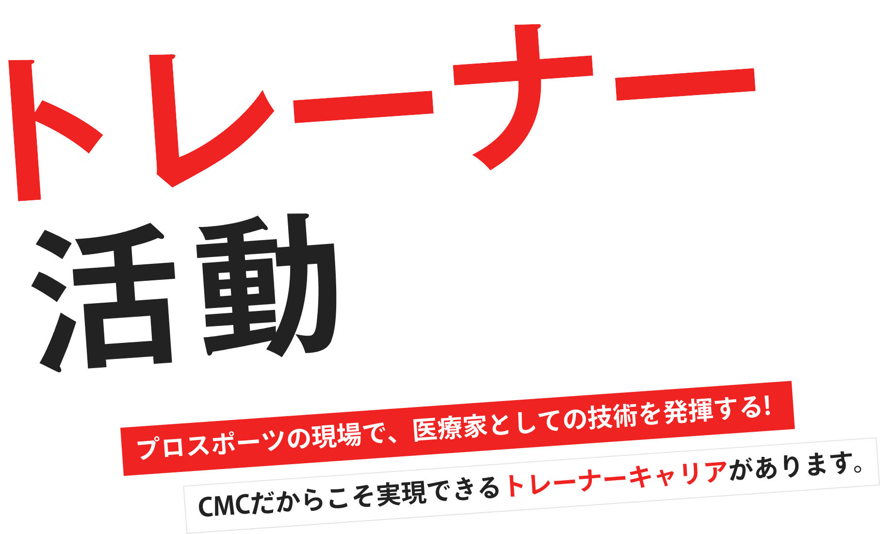 トレーナー活動